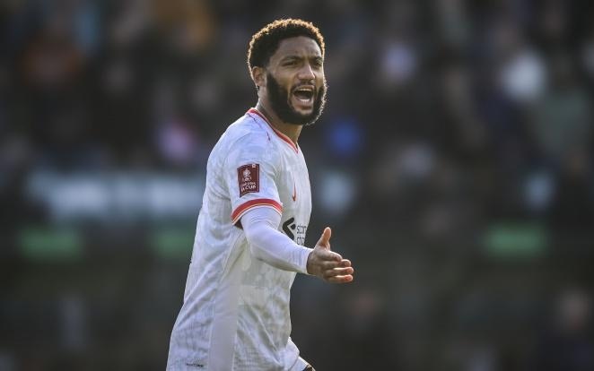 段提供了更 段提供了更