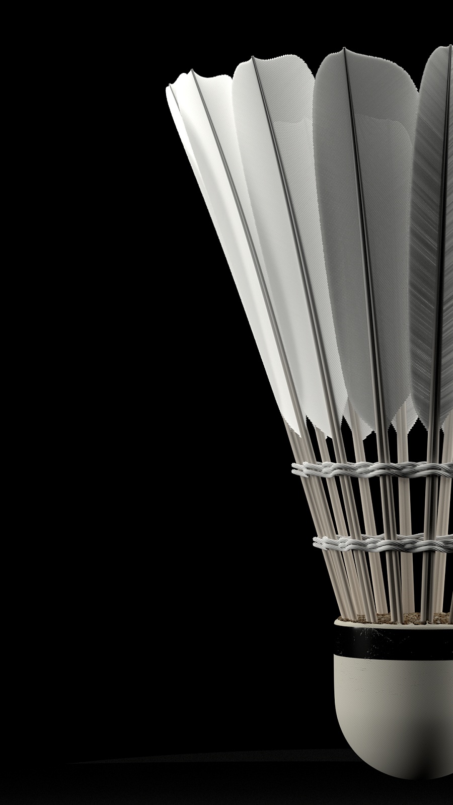 样令人称道 样令人称道