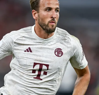 他们通过对 他们通过对